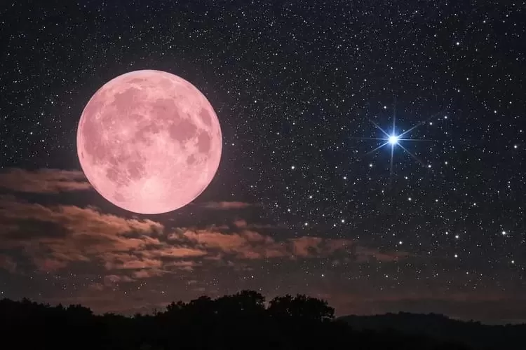 Purnama Pink Moon Menghiasi Langit 2 April Besok: Benarkah Bulan Berubah Warna Pink? - Metro Smart Solutions