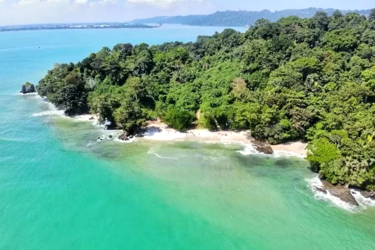 Lonceng Kematian Segara Anakan: Ketika Lumpur Menghapus Jarak Antara Jawa dan Nusakambangan