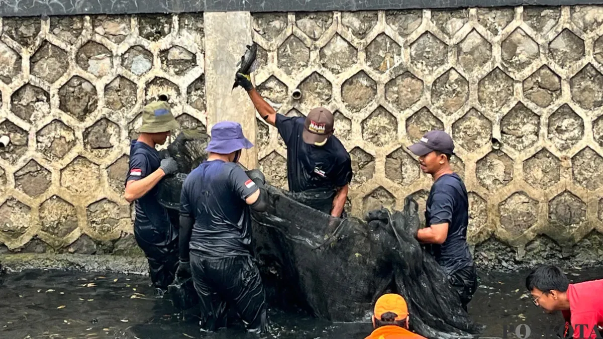DKI Jakarta Darurat Ikan Sapu-Sapu: 6,9 Ton Diangkat dalam Sehari, Kandungan Logam Berat Mengkhawatirkan - Metro Smart Solutions